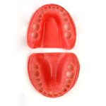 لثه یدکی فک پایین کدهای HT208 و HT207 برای تمرین دندان‌پزشکی - لثه یدکی دو فک (بافت نرم یدکی تمامی فک‌ها)