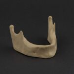 مندیبل سفید آموزشی با آناتومی دقیق برای تمرین جراحی و ایمپلنت