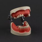 مدل فک ایمپلنت و سینوس لیفت به همراه آرتیکولاتور برند Hoss