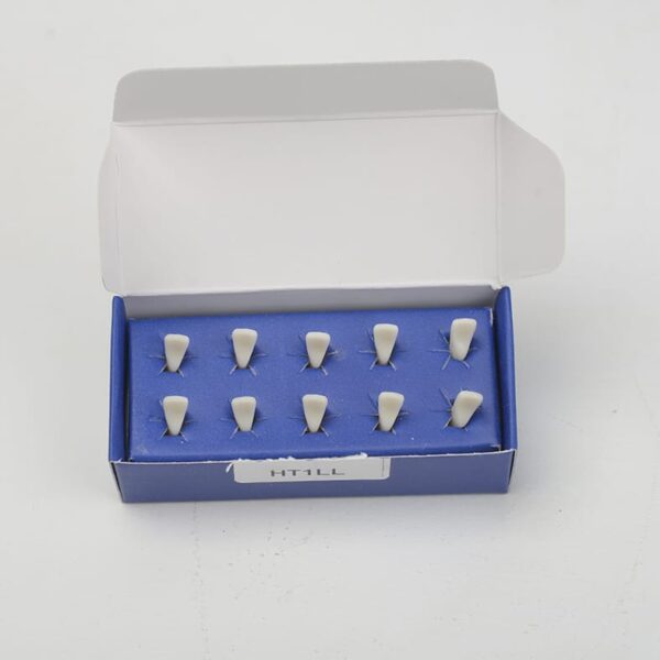 HT1LL تک دندان تمرینی بزرگسال - Image 2