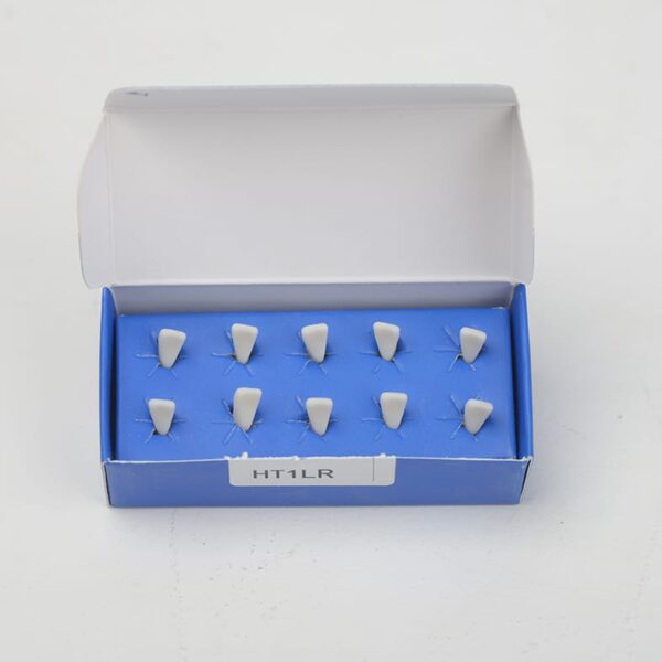 HT1LR تک دندان تمرینی بزرگسال - Image 6