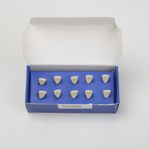 HT2UR تک دندان تمرینی بزرگسال - Image 5