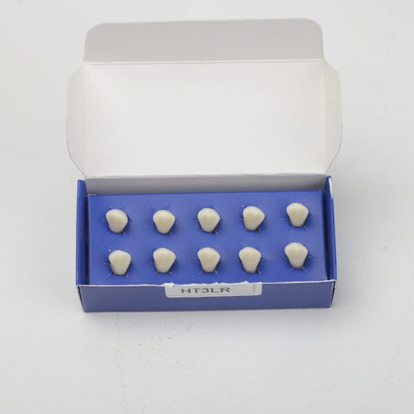 HT3LR تک دندان تمرینی بزرگسال - Image 3