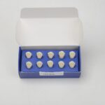 تک دندان اطفال هاس | مدل تمرینی و آموزشی - Image 4