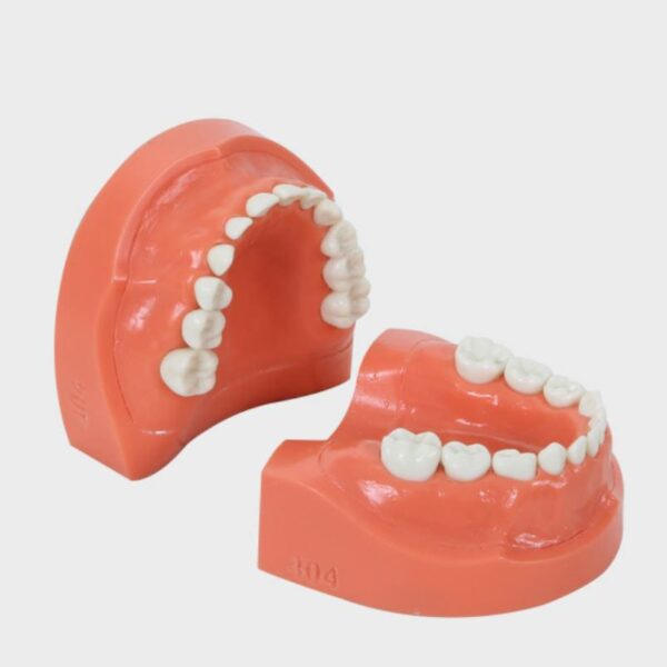 مدل تمرینی اطفال با لثه سخت (24عددی) - Image 2