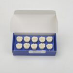 تک دندان اطفال هاس | مدل تمرینی و آموزشی - Image 7