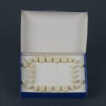 ست دندان تمرینی بزرگسال (32عددی)