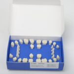 ست دندان تعویضی بزرگسال 32 عددی نوع N برند حاس با دندان‌های یدکی