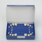 ست دندان تعویضی بزرگسال 28 عددی نوع N برند حاس با دندان‌های یدکی - ست دندان تعویضی اطفال 24 عددی با کدهای یدکی HT4