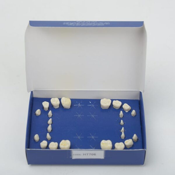 ست دندان تعویضی بزرگسال 28 عددی نوع N برند حاس با دندان‌های یدکی - ست دندان تعویضی اطفال 24 عددی با کدهای یدکی HT4