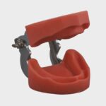 مدل تمرینی بی‌دندانی بافت نرم با آرتیکولاتور برای آموزش دندان‌پزشکی