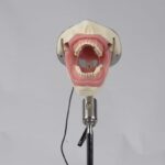 هدفانتوم تزریق برند حاس - Image 2