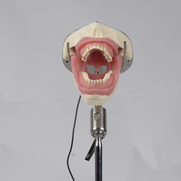 هدفانتوم تزریق برند حاس - Image 2