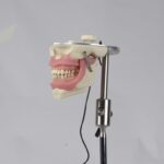 هدفانتوم تزریق برند هاس