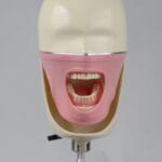 هدفانتوم آموزشی پایه پرتابل با اتصال مگنتی و چرخش کامل - هدفانتوم آموزشی پایه لابراتواری دندانپزشکی با قابلیت چرخش کامل و اتصال مگنتی