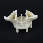 فک بالا بی دندانی به همراه سینوس و خروجی های عصب