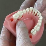 مدل تمرین بخیه دندانپزشکی Hoss با دندان برای آموزش دانشجویان