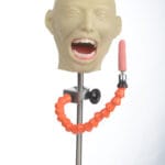 هدفانتوم رادیولوژی دندانپزشکی ایرانی با دندان‌های ریشه‌دار و متریال استاندارد