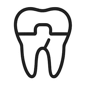 اندودنتیکس