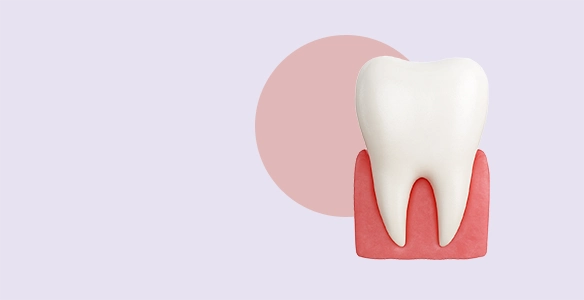 محصولات زیبایی و ترمیمی دنداپزشکی دنتیک